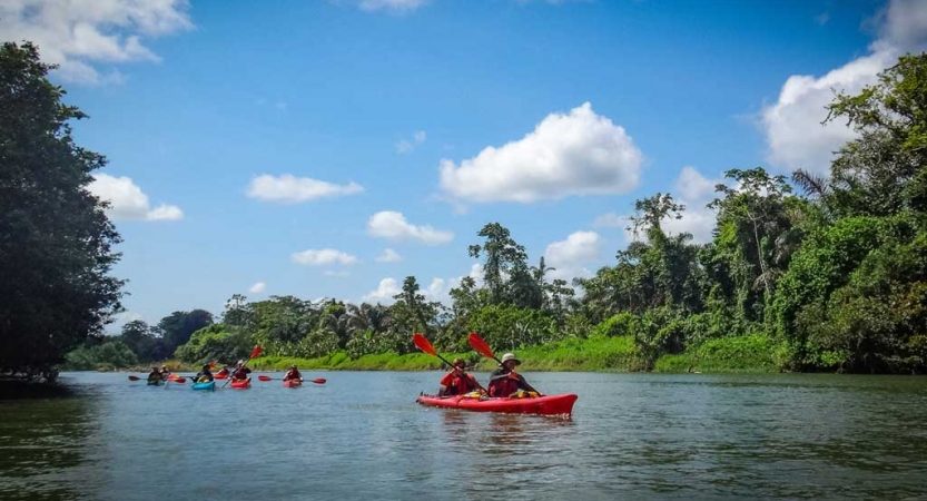 a group of kayaks are paddled by outward bound students on a body of water between tree-covered shores.